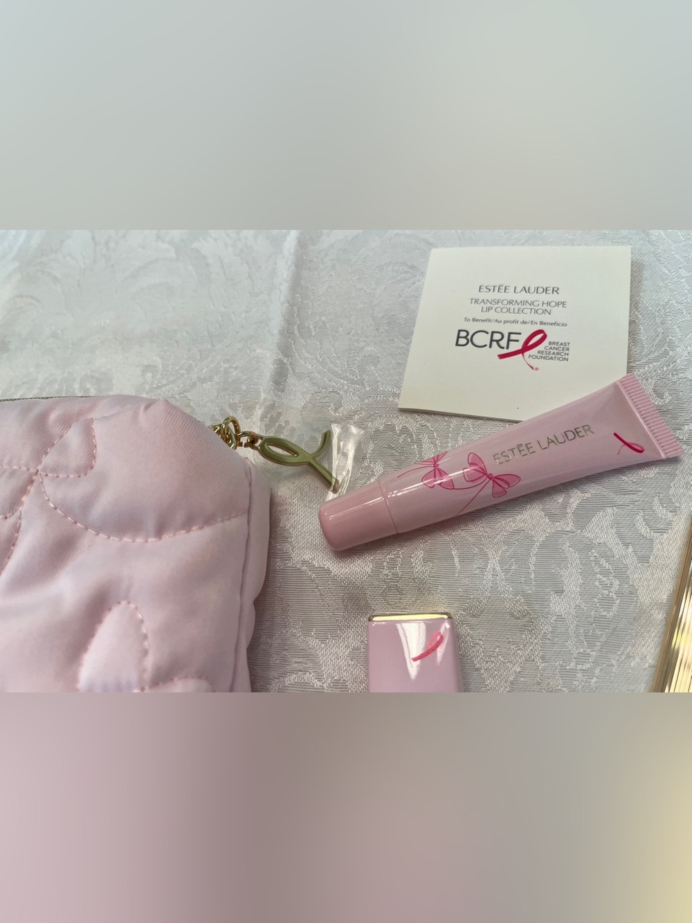 Estée Lauder Lip Collection with Pink Quilted Cosmetic Pouch “Transforming Hope” - Picture 5 of 10